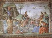Domenicho Ghirlandaio Predigt Johannes des Taufers oil painting artist